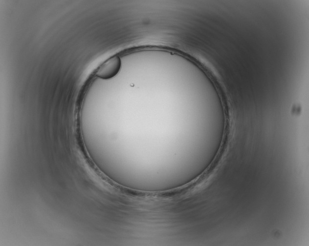 X0000112521077200908171106