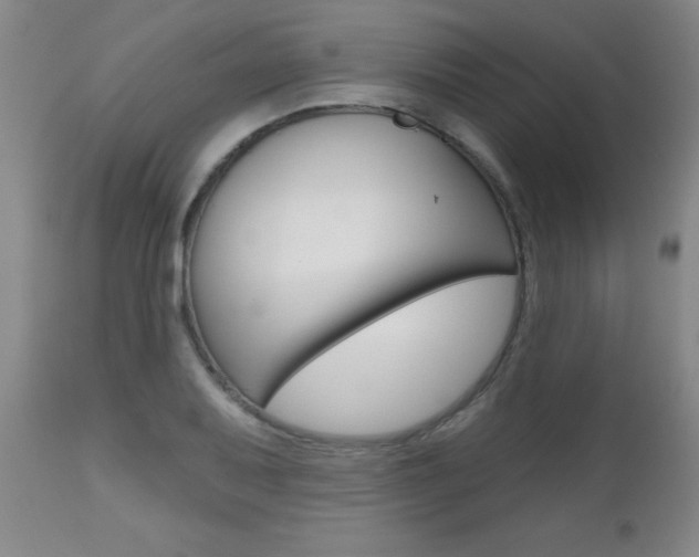 X0000112521079200908171106