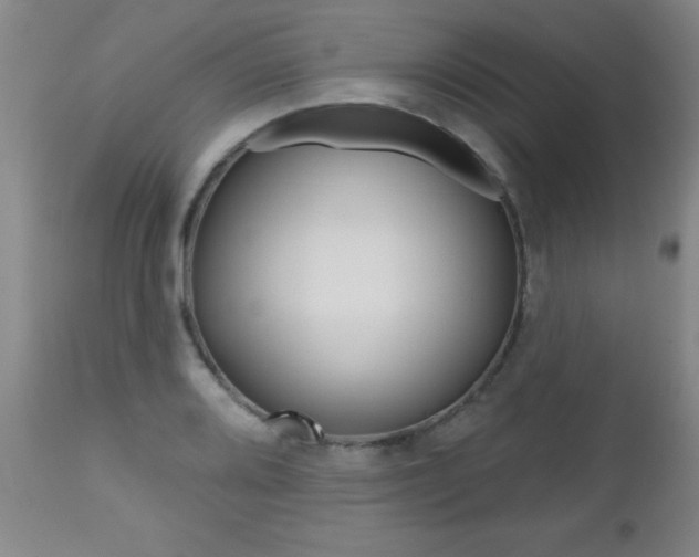 X0000112521080200908171106