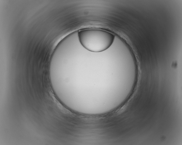 X0000112521081200908171106