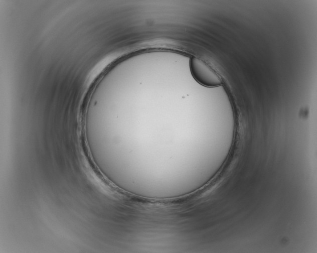 X0000112521082200908171106