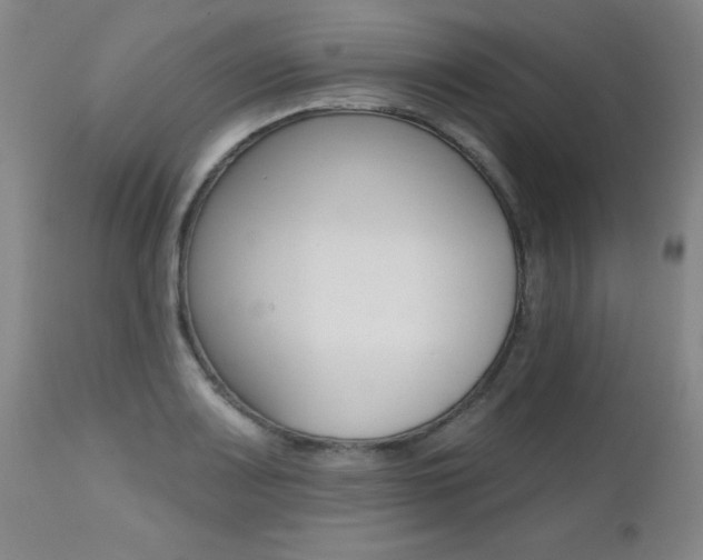 X0000112521083200908171106