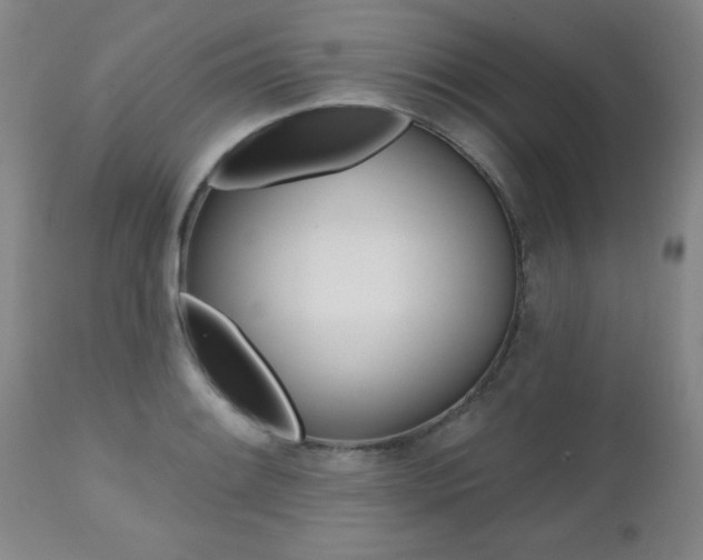 X0000112521084200908171106
