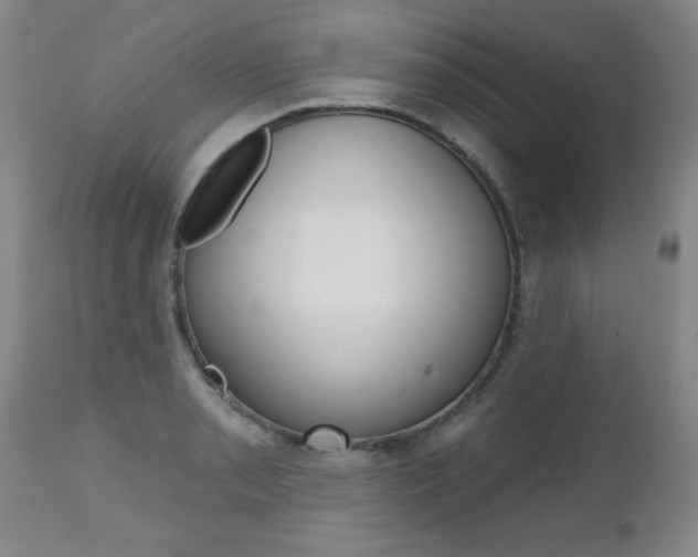 X0000112521085200908171106