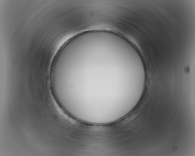 X0000112521087200908171106