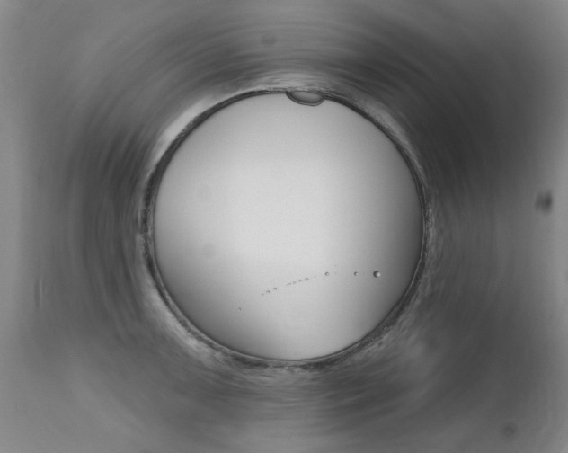 X0000112521091200908171106