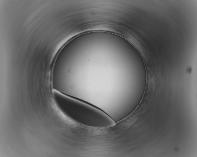 X0000112521092200908171106