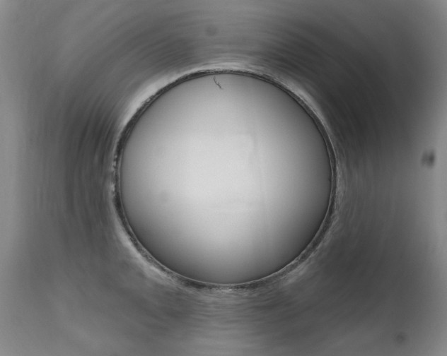 X0000112521093200908171106
