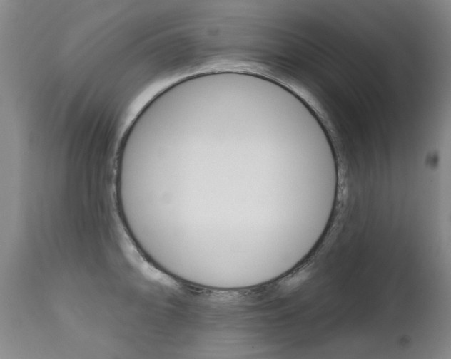 X0000112521094200908171106