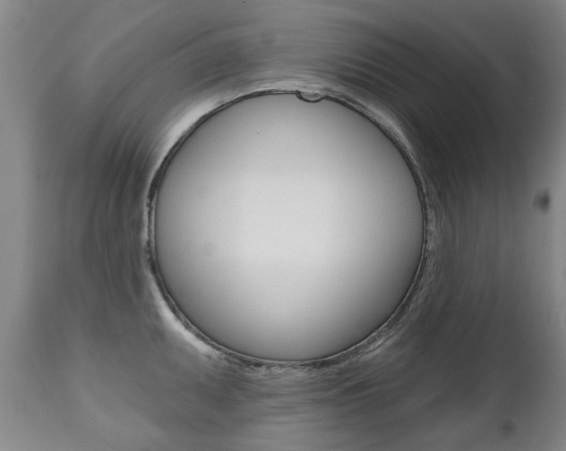X0000112521095200908171106