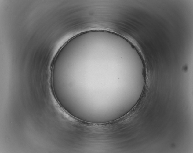 X0000112521096200908171106