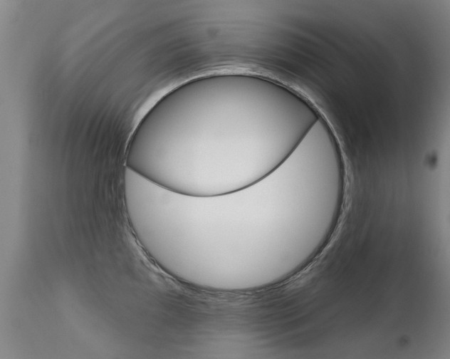 X0000112521097200908171106