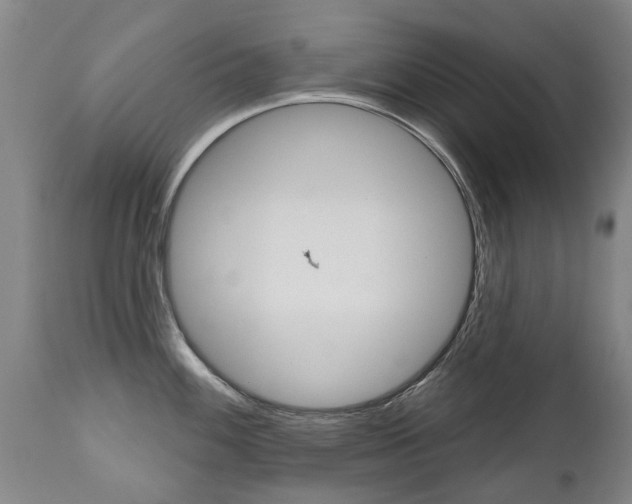 X0000112521100200908171106