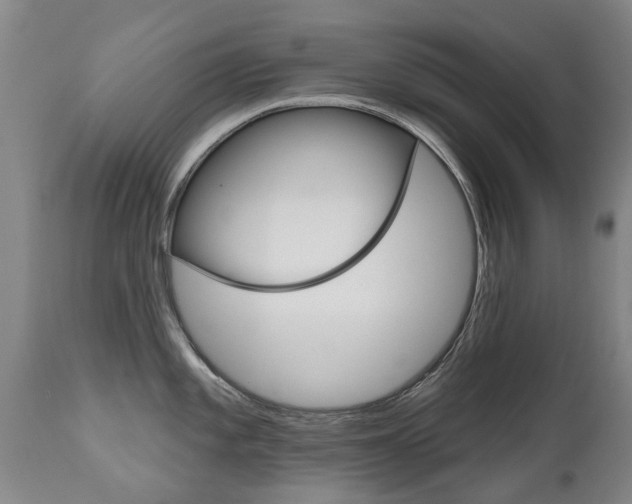 X0000112521101200908171106