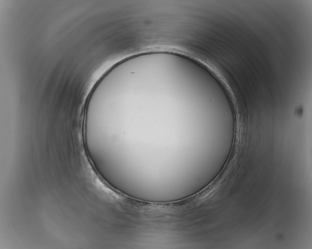 X0000112521102200908171106