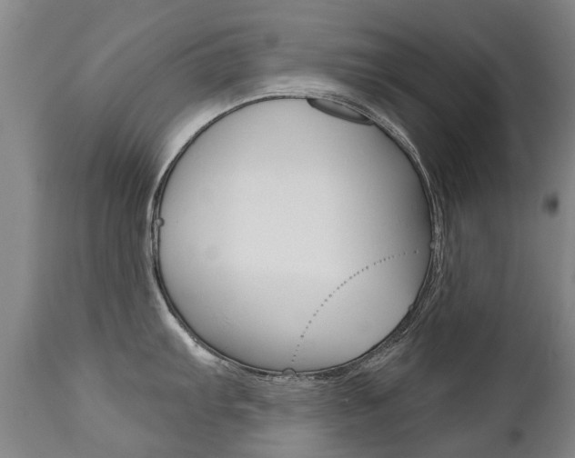 X0000112521103200908171106