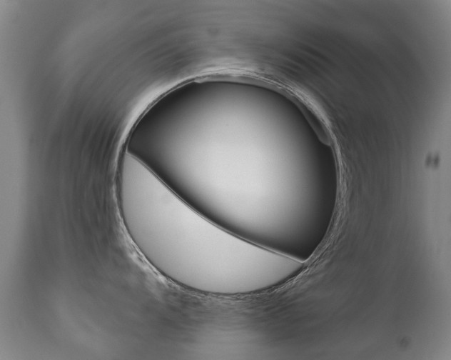 X0000112521104200908171106