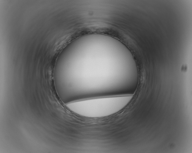X0000112521108200908171105