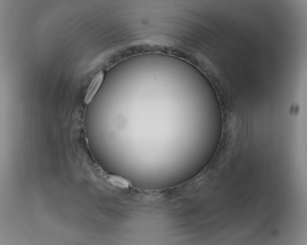 X0000112521110200908171105