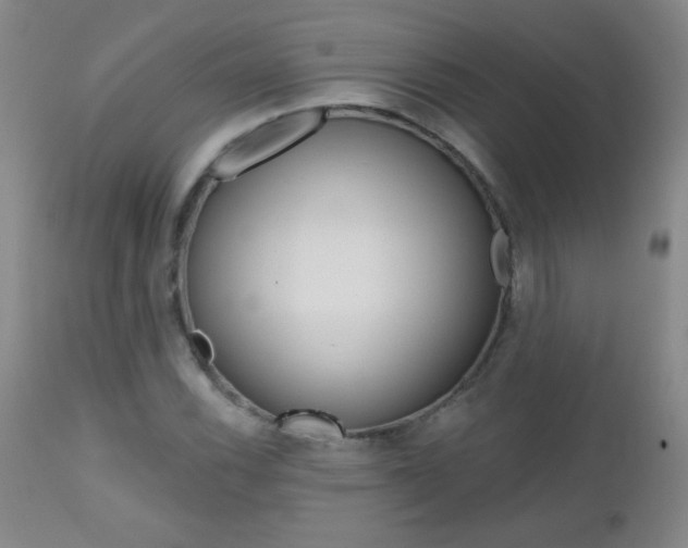 X0000112521116200908171105