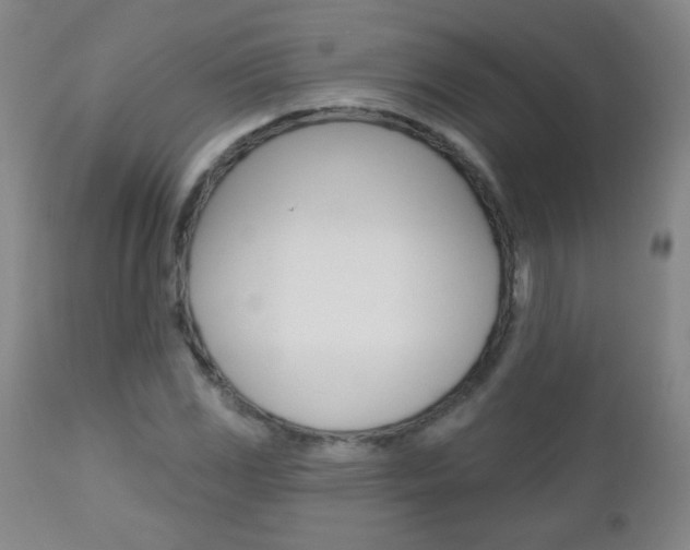 X0000112521117200908171105