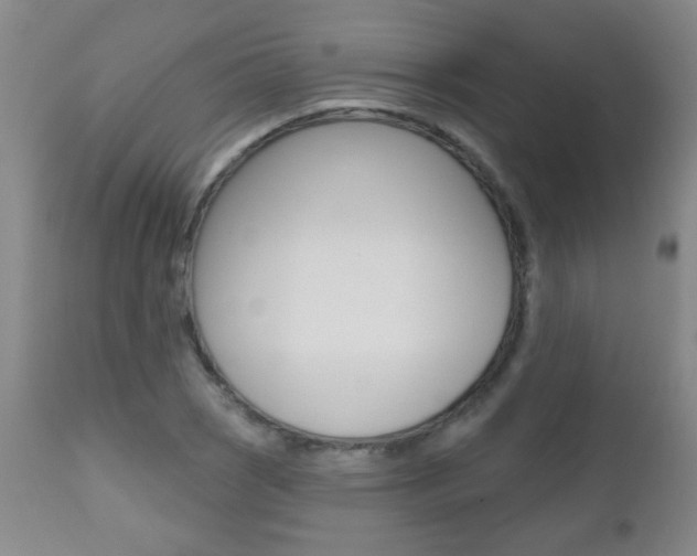 X0000112521121200908171105