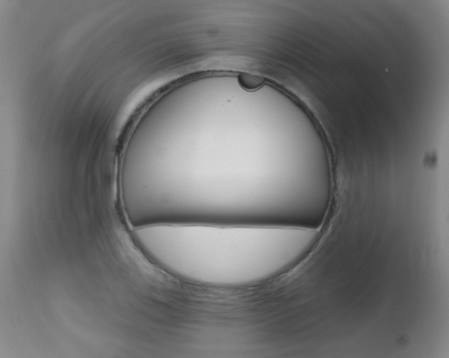 X0000112521123200908171105