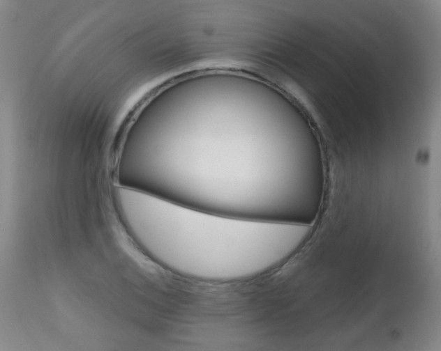 X0000112521124200908171105