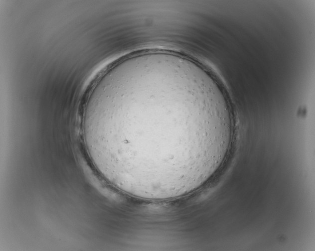 X0000112521125200908171105