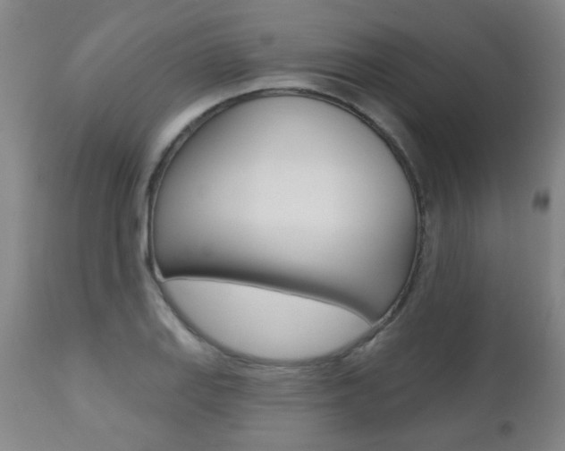 X0000112521127200908171105