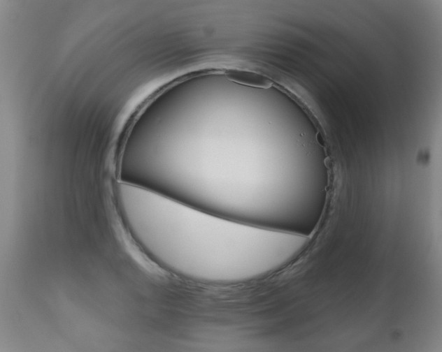 X0000112521128200908171105