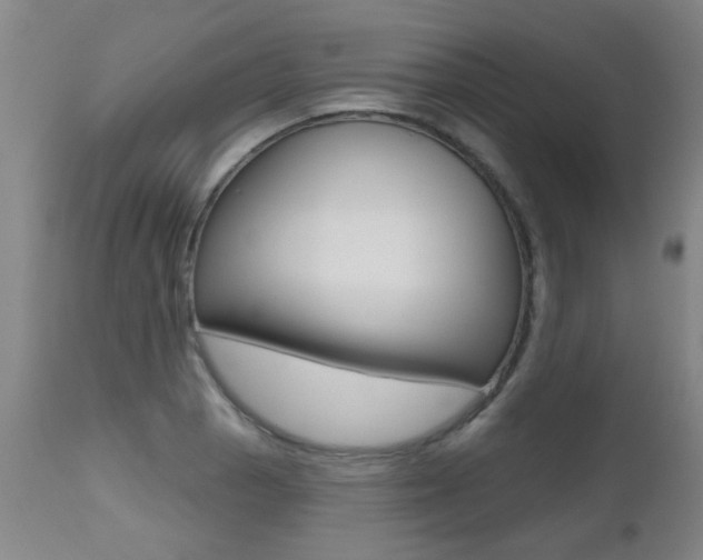 X0000112521129200908171105