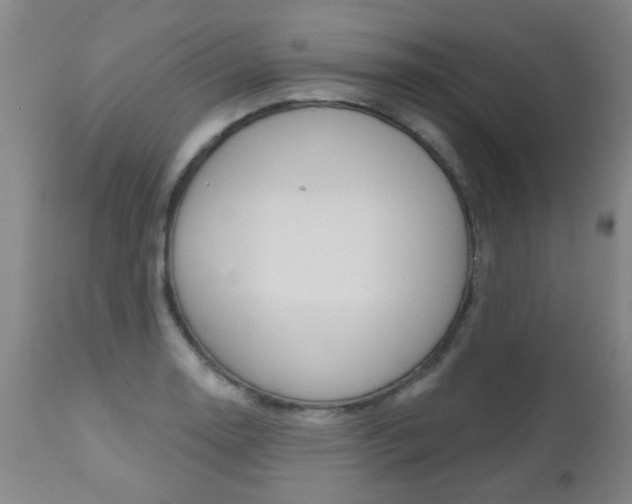 X0000112521130200908171105
