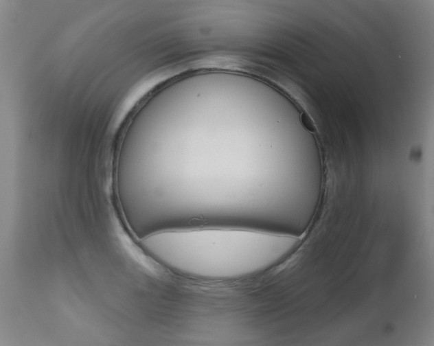 X0000112521131200908171105