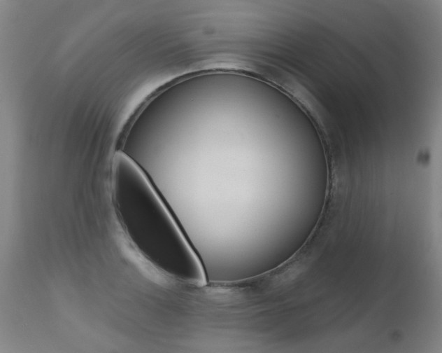 X0000112521132200908171106