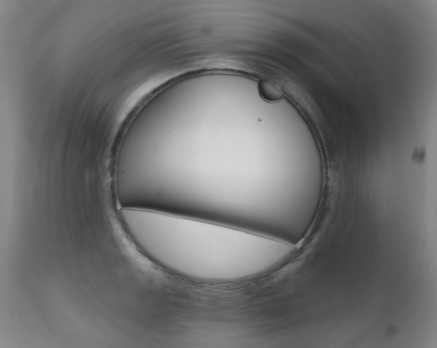 X0000112521133200908171106