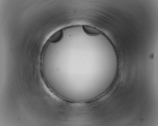 X0000112521134200908171106
