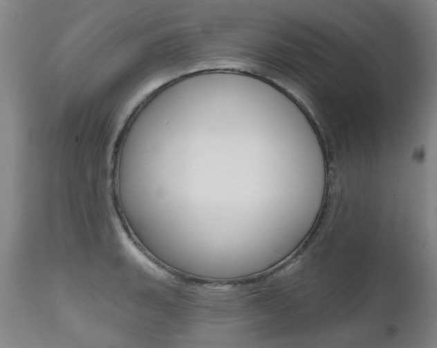 X0000112521135200908171106