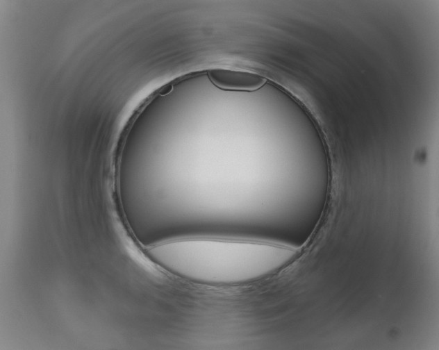 X0000112521136200908171106