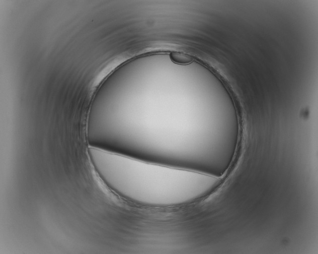 X0000112521137200908171106
