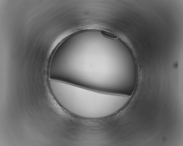 X0000112521138200908171106