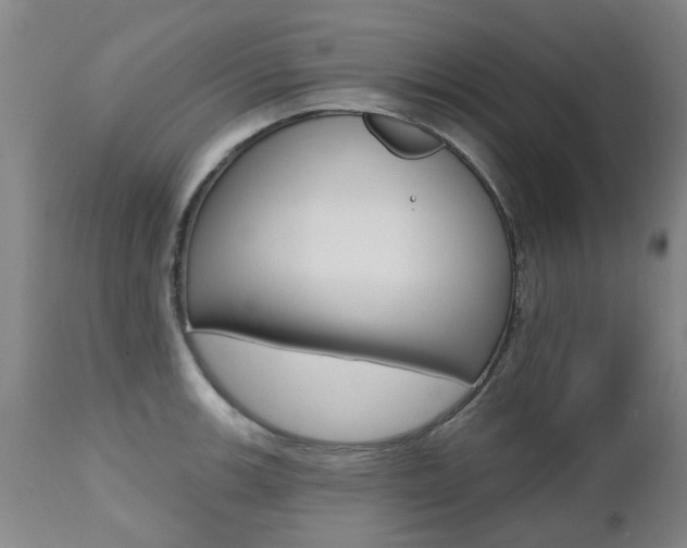 X0000112521139200908171106