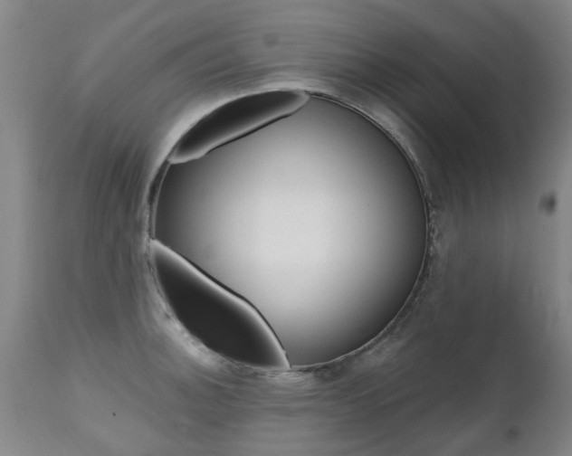 X0000112521140200908171106