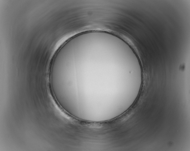 X0000112521141200908171106