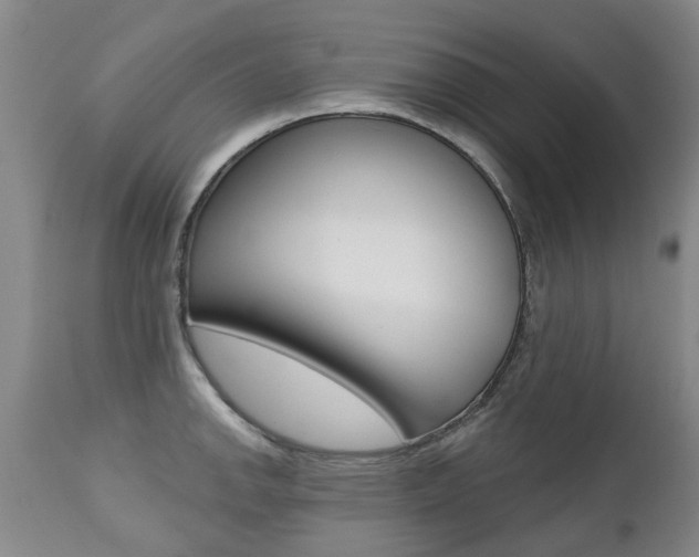 X0000112521142200908171106