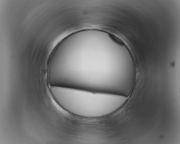 X0000112521143200908171106