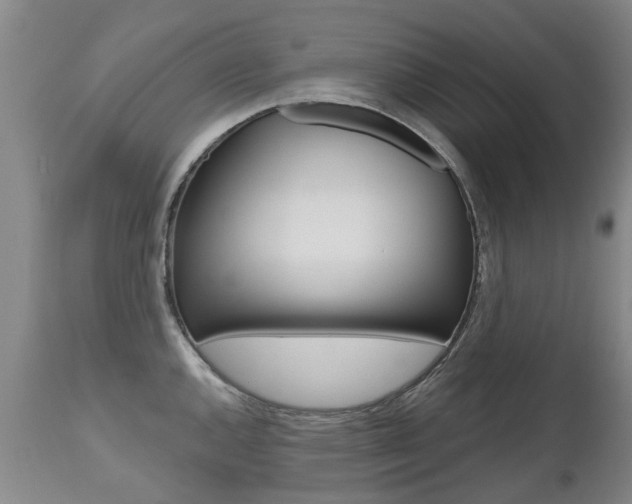 X0000112521144200908171106