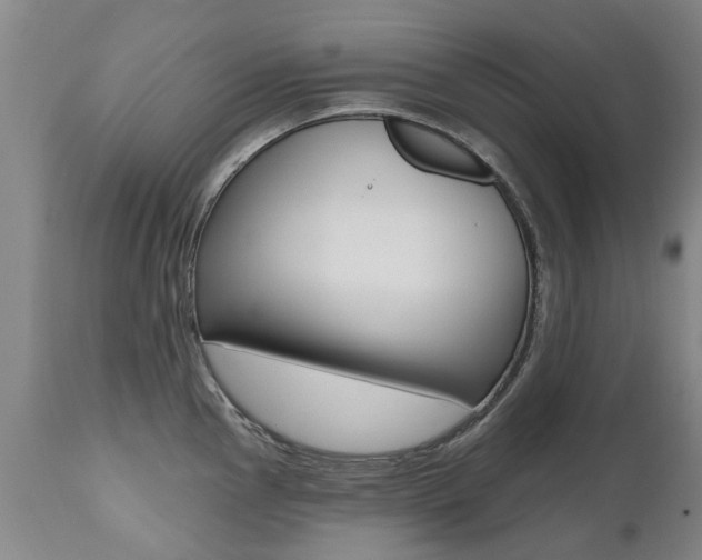 X0000112521145200908171106