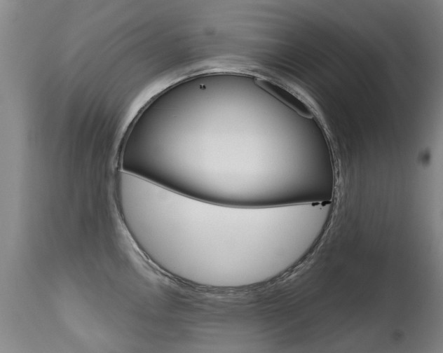 X0000112521146200908171106