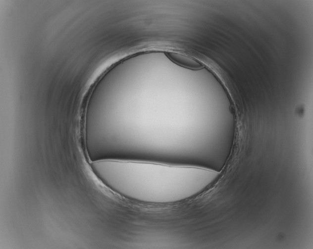X0000112521147200908171106